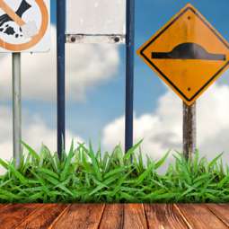 Car Driving Lessons in Dundalk