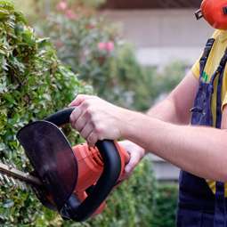 Garden Service in Dundalk