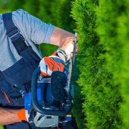 Garden Service in Dundalk