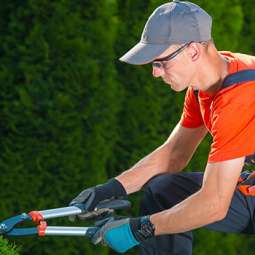 Garden Service in Dundalk