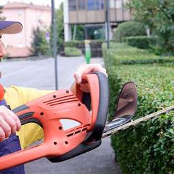 Garden Service in Dundalk