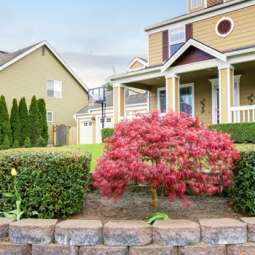 Garden Service in Dundalk