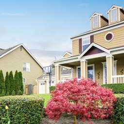 Garden Service in Dundalk