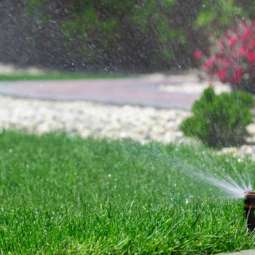 Garden Service in Dundalk