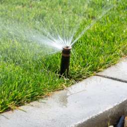 Garden Service in Dundalk