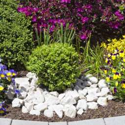 Garden Service in Dundalk