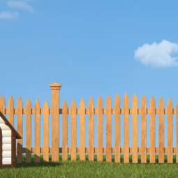 Dog kennel Service in Navan