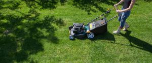 Lawn Mowing and Lawn Cutting cork