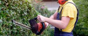 Commercial Landscaping Service in navan