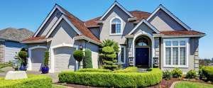 Hedge-cutting-service-in-athlone