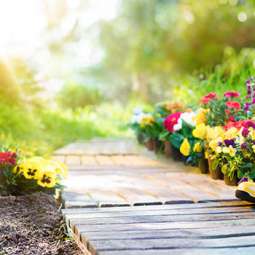 Garden Service in Navan