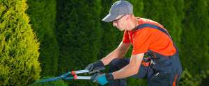 Lawn Maintenance Service in limerick