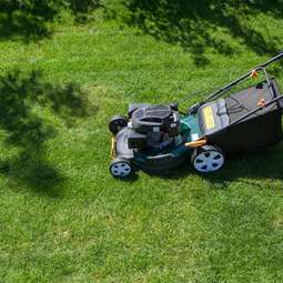 Garden Service in Navan